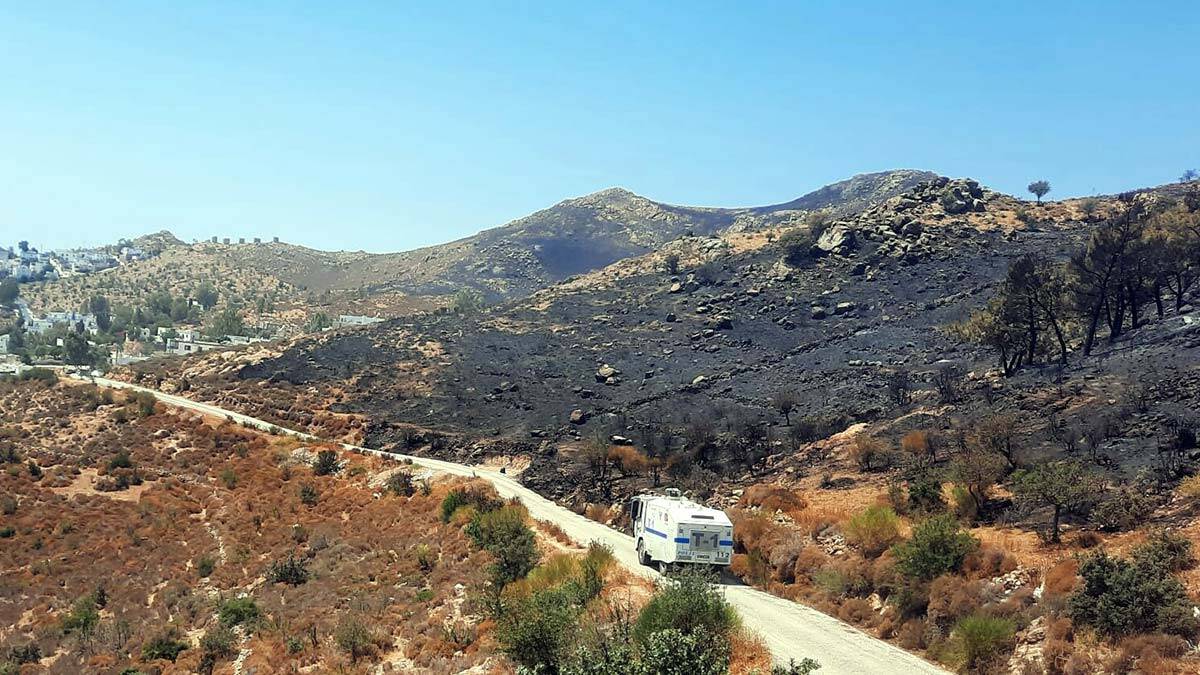 Bodrum'daki yangında 20 hektar makilik alan yandı