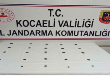 Bronz ve gümüş sikkeler ele geçirildi