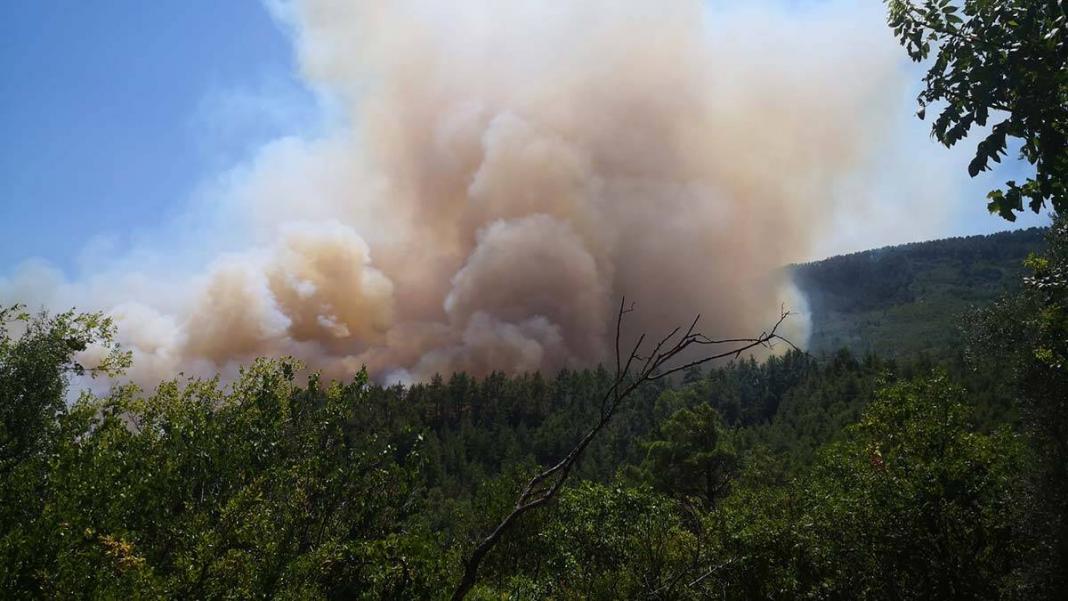 Bucak'ta orman yangını çıktı