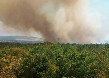 Çanakkale Gelibolu'da orman yangını çıktı