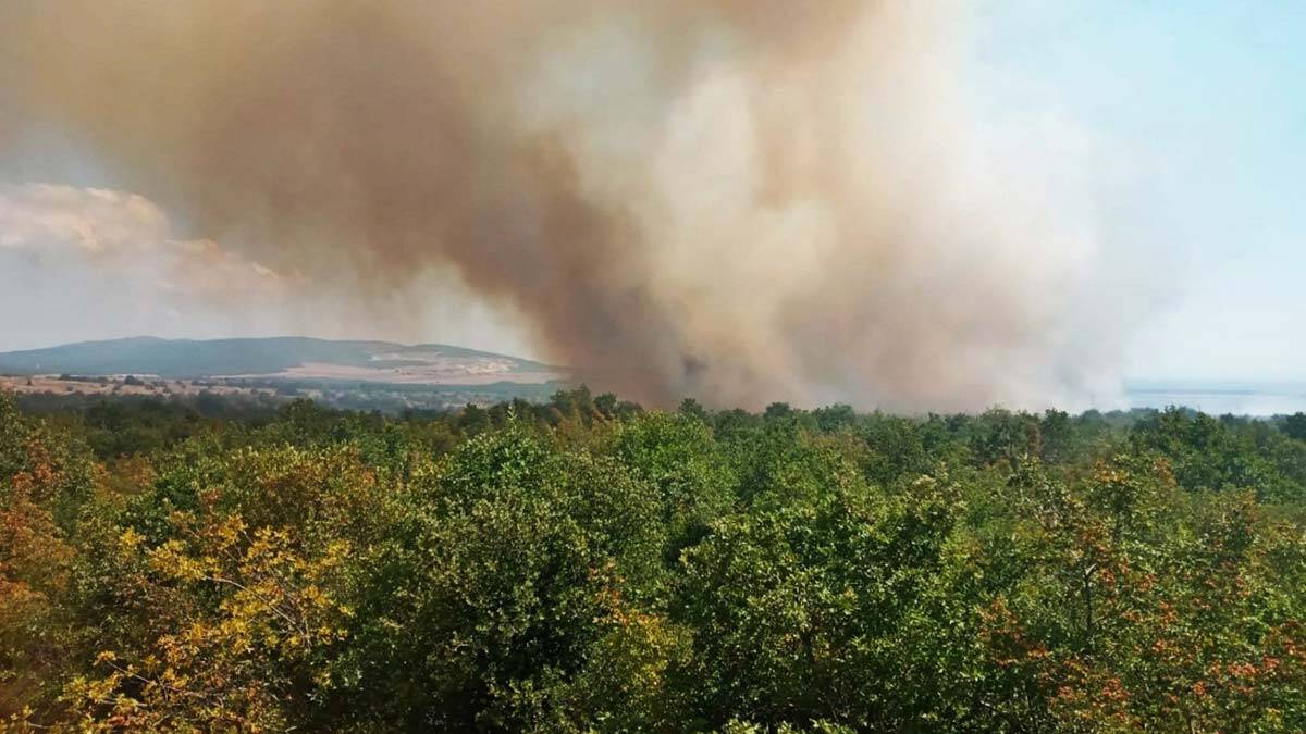 Çanakkale Gelibolu'da orman yangını çıktı