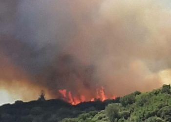Çanakkale'de aynı bölgede 10 orman yangını çıktı
