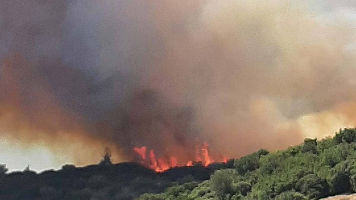 Çanakkale'de aynı bölgede 10 orman yangını çıktı
