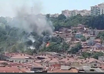 Çatalca'da ağaçlık alanda yangın çıktı