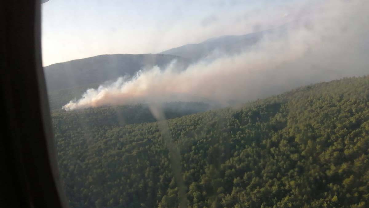 İzmir Çeşme'de orman yangınına havadan ve karadan müdahale sürüyor