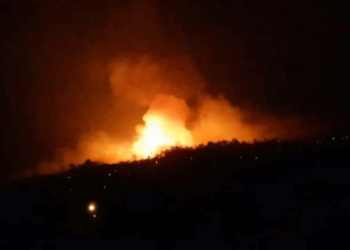 Çine’de orman yangını