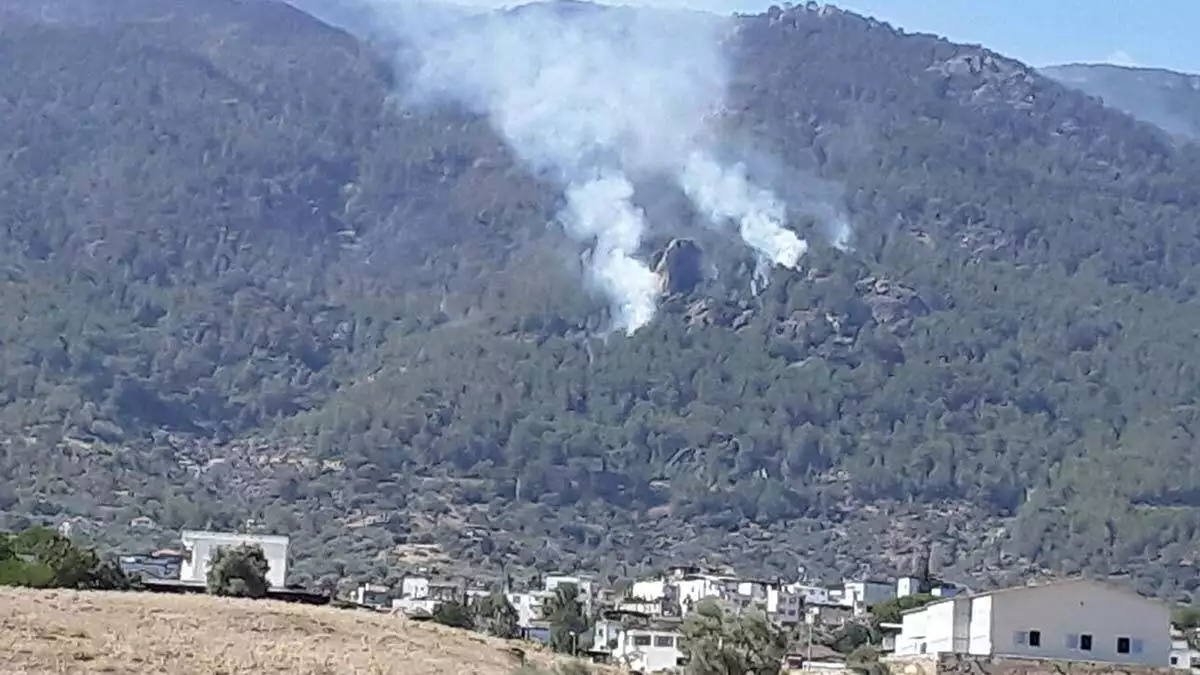 Cinedeki orman yangininda 3uncu gun 2 - öne çıkan - haberton