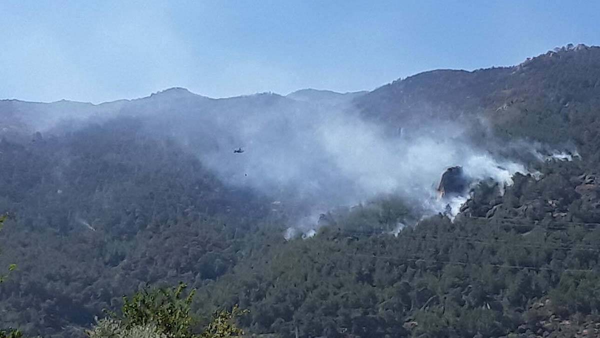 Çine'deki orman yangınında 3'üncü gün