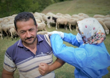 Çobanlar koyun otlatırken Covid-19 aşısı oldu
