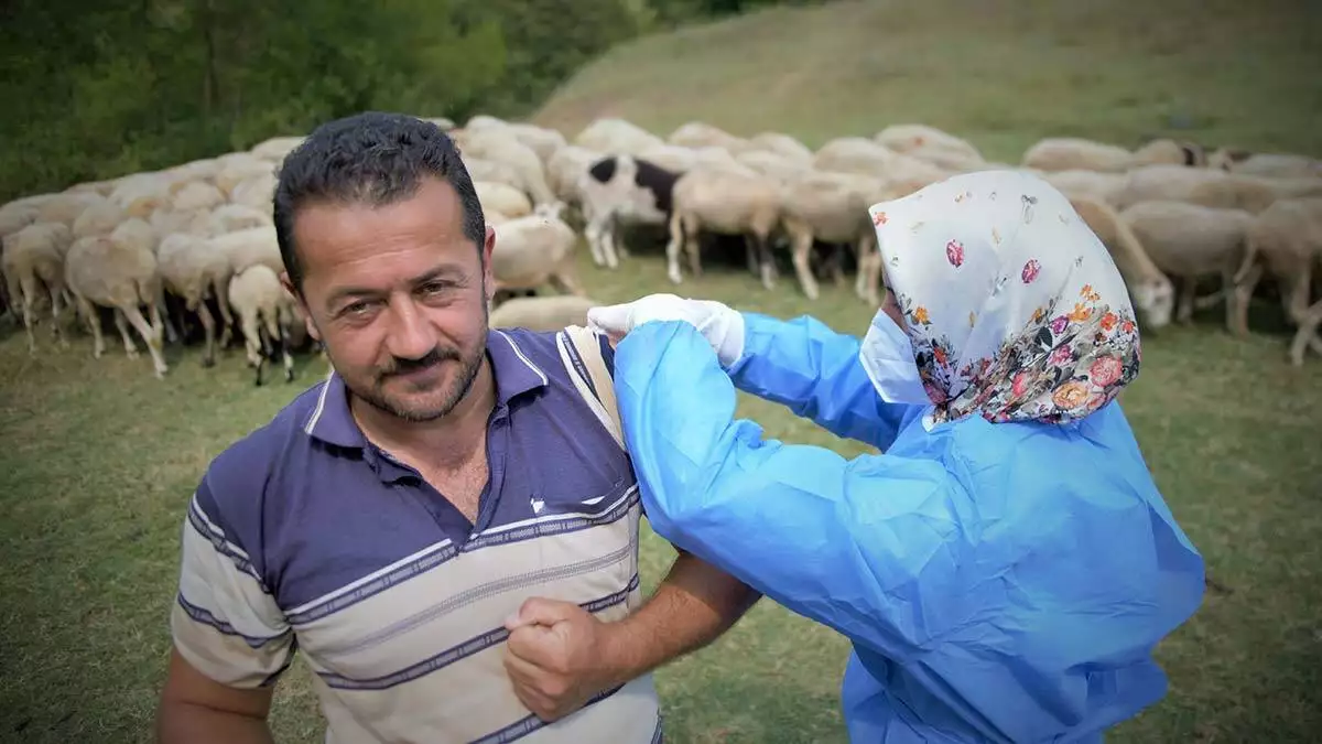 Çobanlar koyun otlatırken covid-19 aşısı oldu