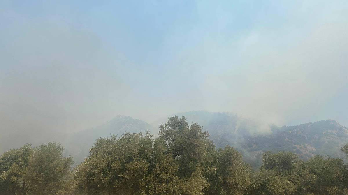 Çökertme'de yangın kontrol altına alındı