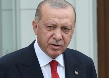 Cumhurbaşkanı yanan alanlarla ilgili açıklama yaptı