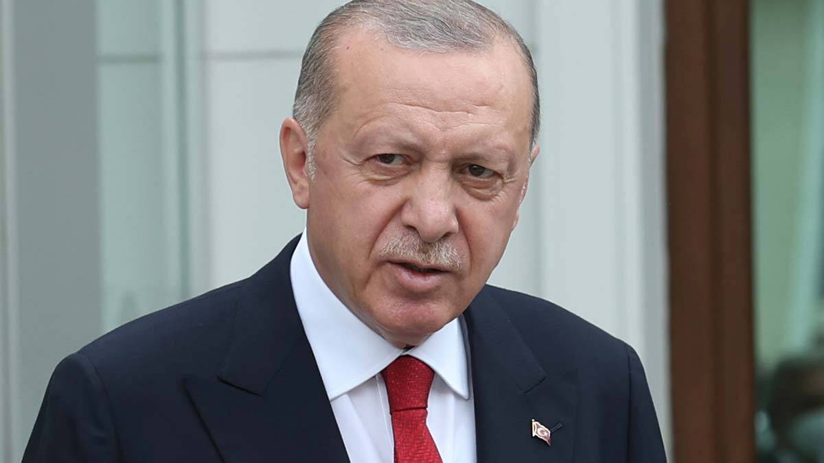 Cumhurbaşkanı yanan alanlarla ilgili açıklama yaptı