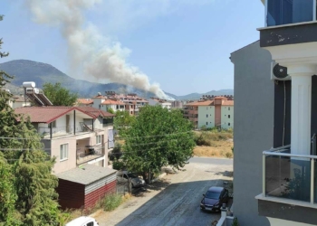 Dalaman'da orman yangını çıktı