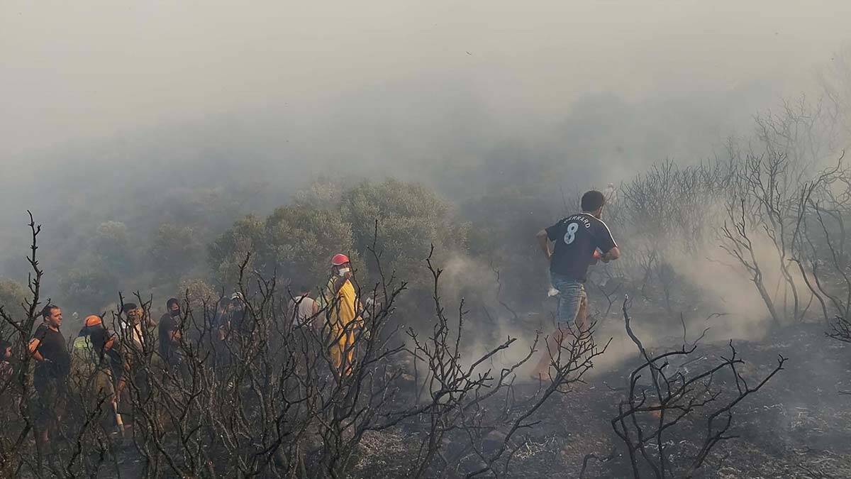 Datça'da makilik ve zeytinlik alanda yangın