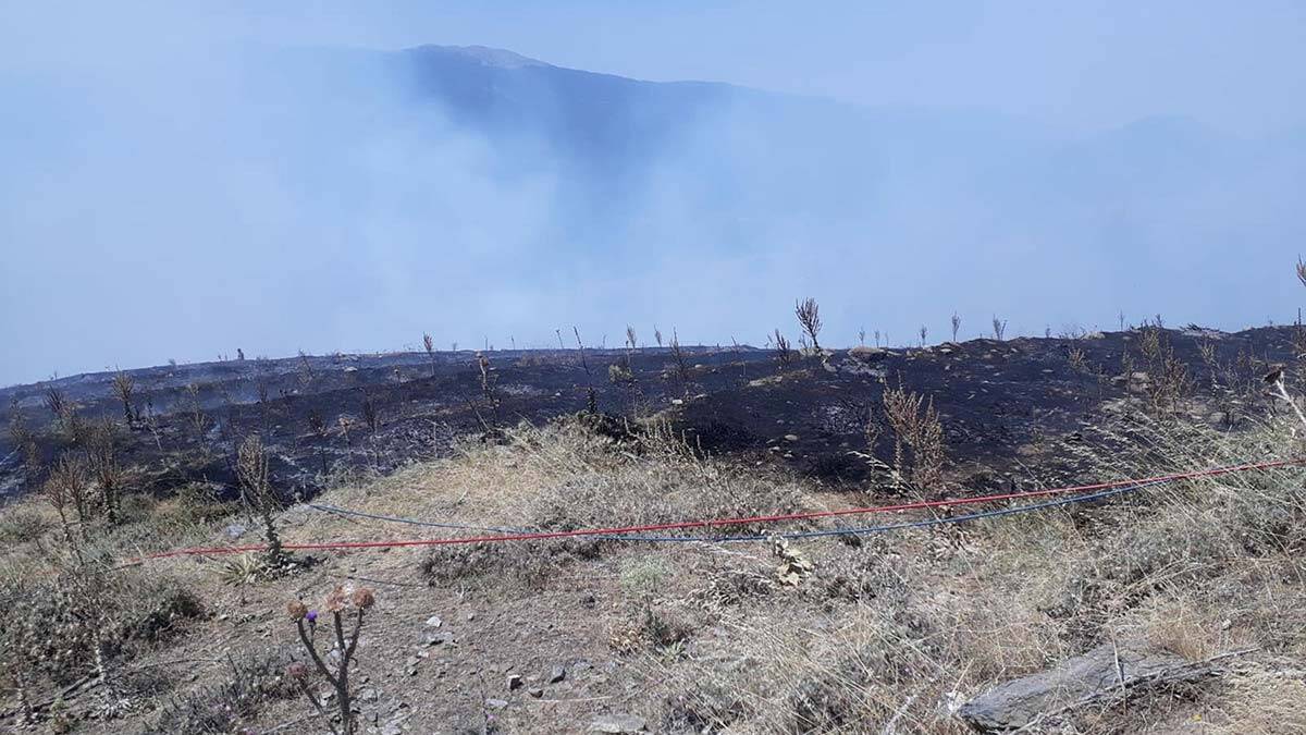 Denizli'de ormanlık alanda yangın çıktı
