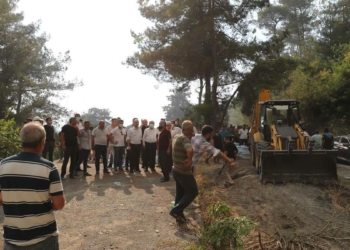 Dörtyol'daki yangında 15 hektar alan zarar gördü