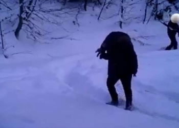 Fotokapana yakalanan kaçak avcılara ceza