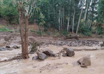 Hakkari'de sağanak sele neden oldu