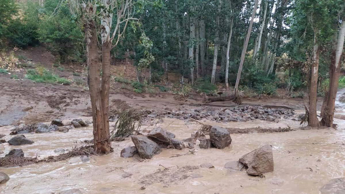 Hakkari'de sağanak sele neden oldu