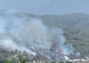 Hatay Dörtyol'da yangın çıktı