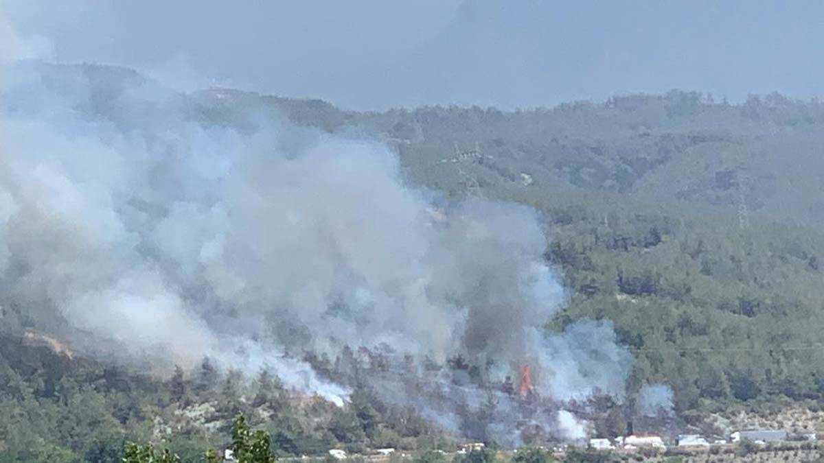 Hatay Dörtyol'da yangın çıktı