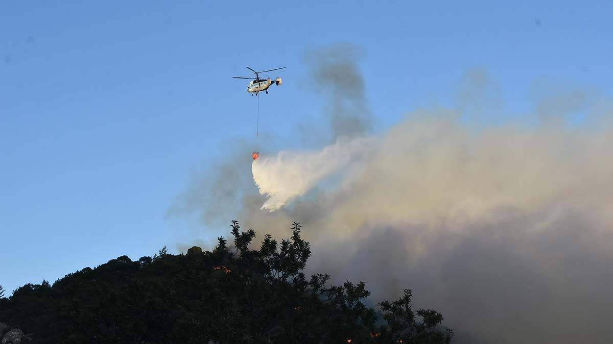 İletişim Başkanı: 239 yangının 234'ü kontrol altına alındı