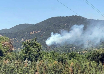 İletişim Başkanlığı 161 yangın kontrol altına alındı