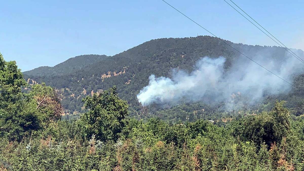 İletişim Başkanlığı 161 yangın kontrol altına alındı