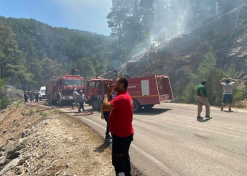 Isparta TIR'da başlayan yangın ormana sıçradı