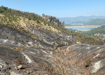 Isparta'da çıkan yangın büyük ölçüde kontrol altında