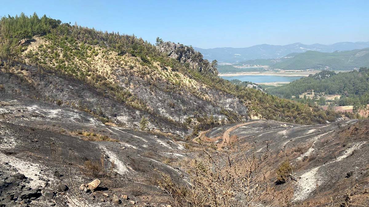 Isparta'da çıkan yangın büyük ölçüde kontrol altında