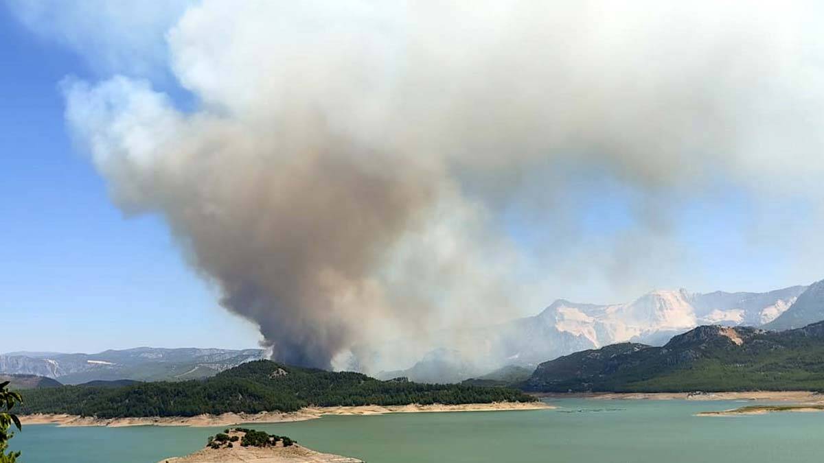 Isparta'da orman yangını çıktı