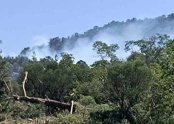 Isparta'daki yangın 6'ncı gününde devam ediyor
