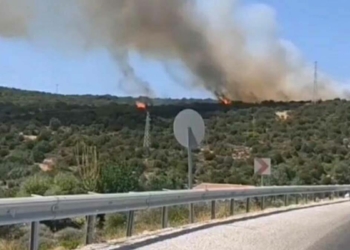 İzmir'de makilik alanda yangın çıktı