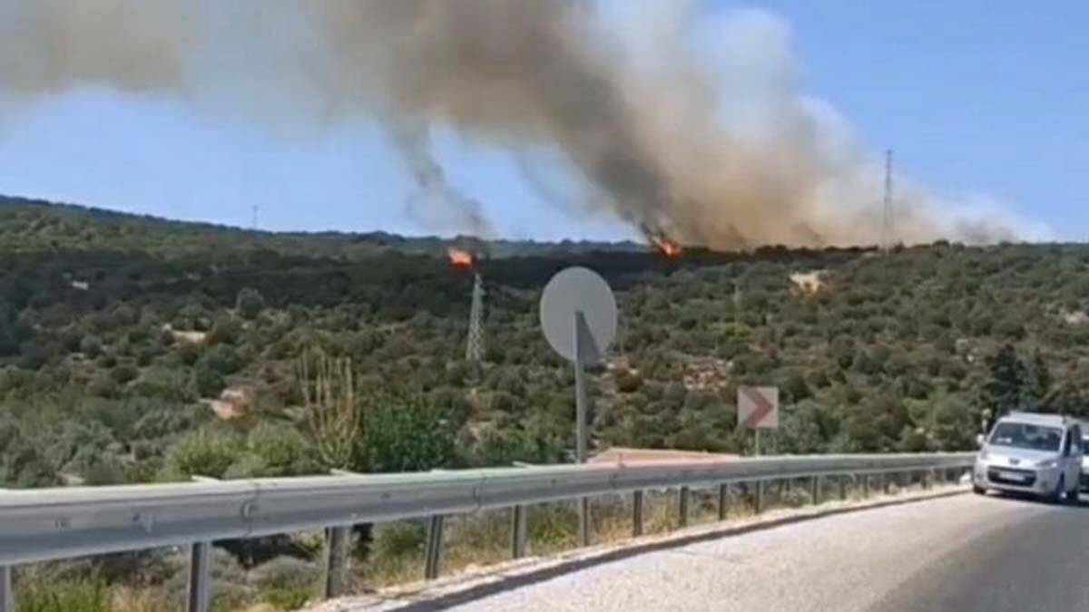 İzmir'de makilik alanda yangın çıktı