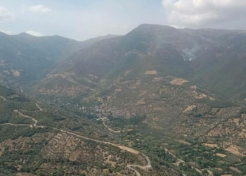 İzmir'de orman yangını çıktı