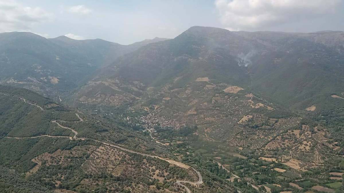 İzmir'de orman yangını çıktı