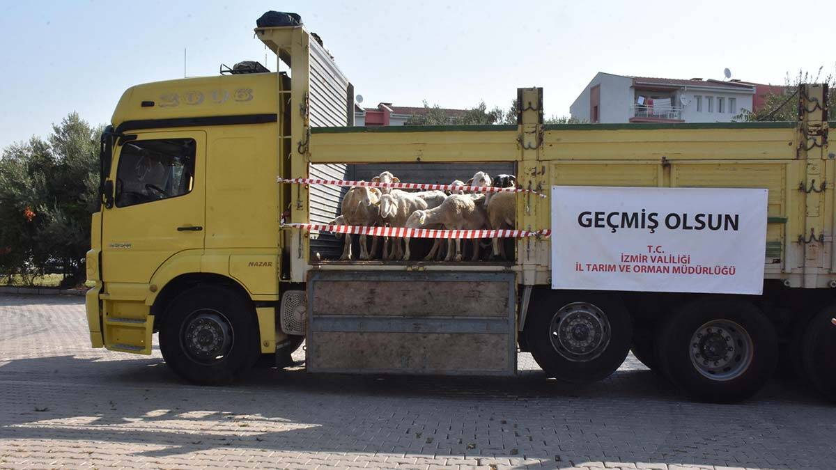 İzmir'den afetzedelere canlı hayvan ve yem bağışı