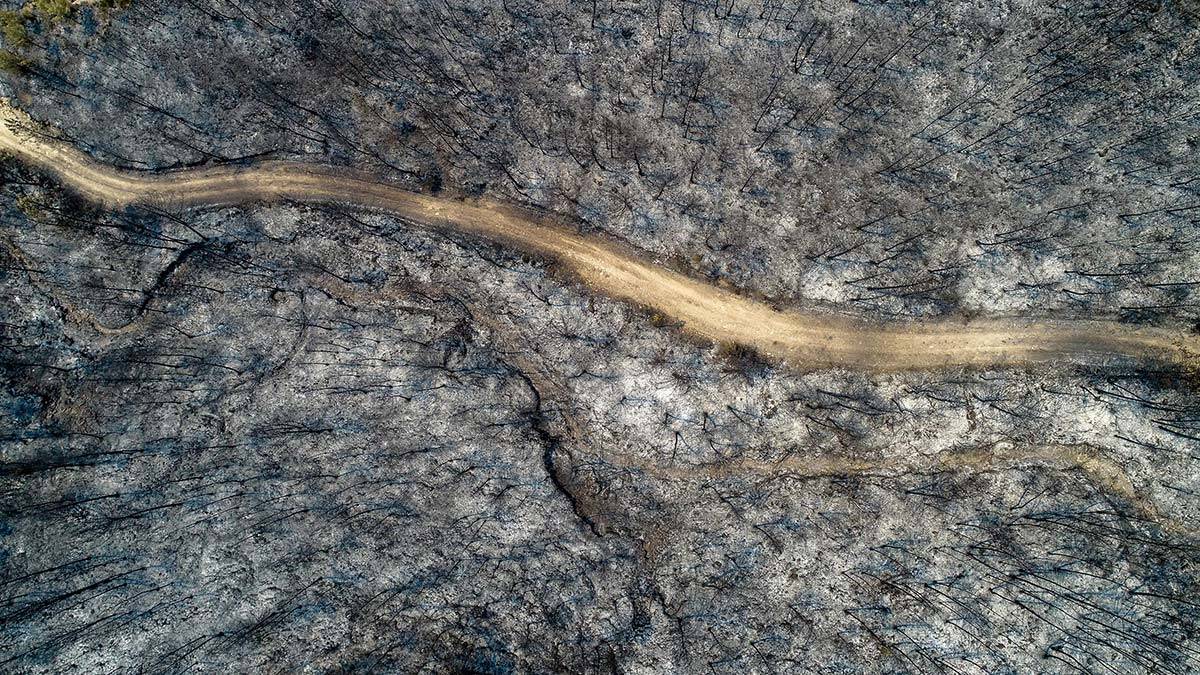 KKTC Cumhurbaşkanı yangın bölgesinde