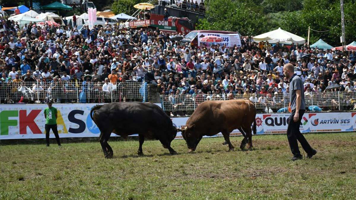 Kafkasör Festivali boğa güreşleriyle sona erdi