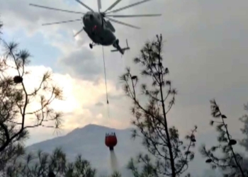 Kahramanmaraş'ta ormanlık alanda yangın çıktı