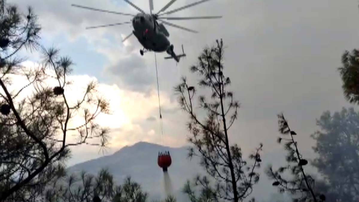 Kahramanmaraş'ta ormanlık alanda yangın çıktı