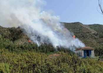 Karabük’te aynı köyde orman yangını