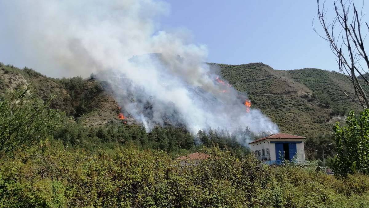 Karabük’te aynı köyde orman yangını