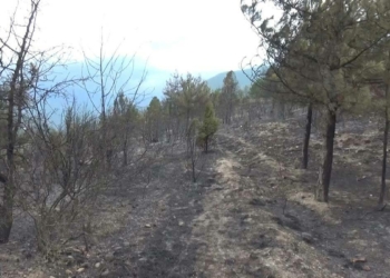 Karabük'teki yangında 45 hektar alan zarar gördü