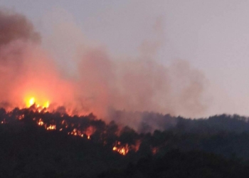 Karacasu'da yangın nedeniyle evler tahliye edildi