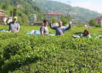 Karadeniz'de covid-19 vakası yüzde 400 arttı