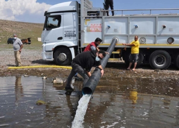 Kars'taki göllere 2 milyon yavru sazan bırakıldı