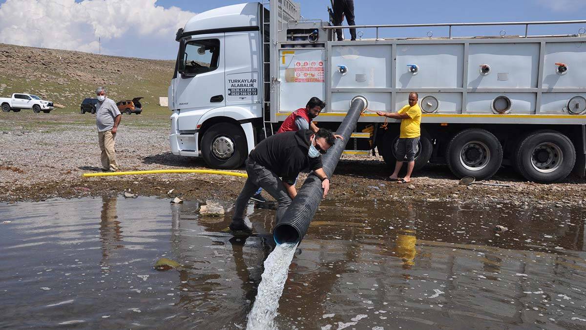 Kars'taki göllere 2 milyon yavru sazan bırakıldı